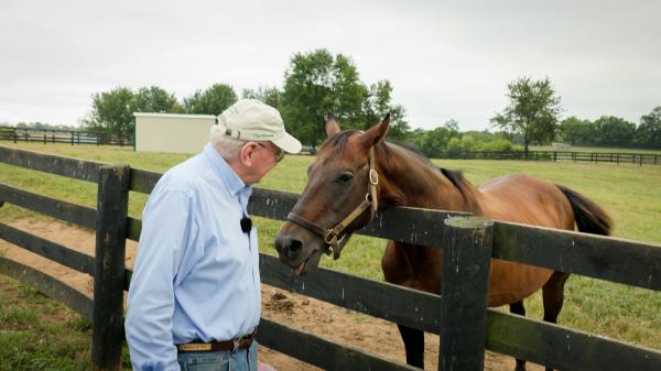 Racing Stars Then, Old Friends Now: Travers Stakes Winners Kicking Back in Kentucky